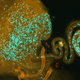 Image for article titled Sperm Wars Can Create New Species
